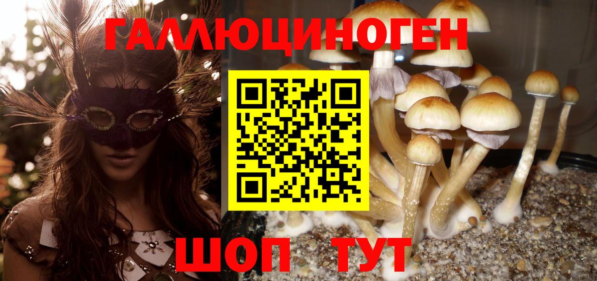 Галлюциногенные грибы мухоморы  магазин продажи   Усть-Илимск  Вход с VPN 